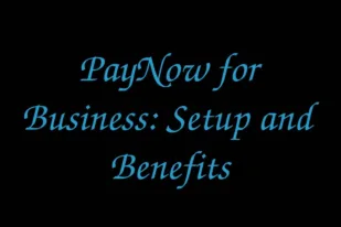 paynow-for-business-setup-and-benefits